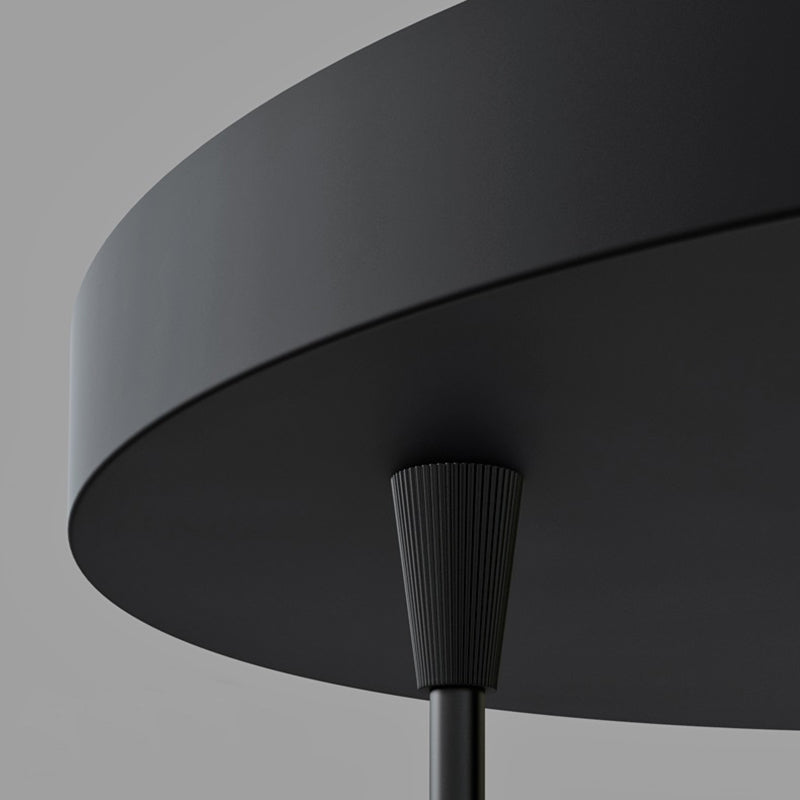 Scandi Curve Pendant Lights